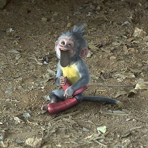 Bilder Dora und die goldene Stadt