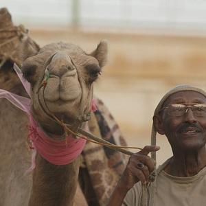 Bilder Talking About Trees