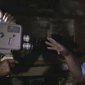 Bilder Talking About Trees