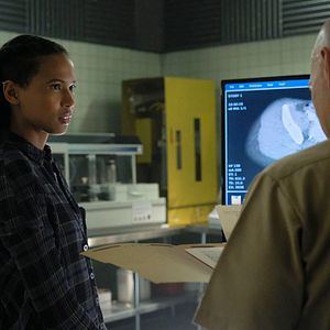 Bilder Fola Evans-Akingbola