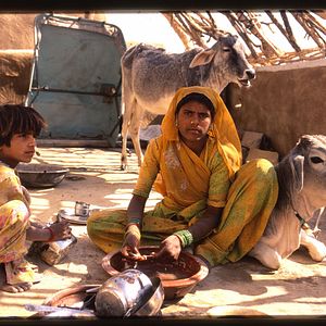 Bilder Princes et Vagabonds