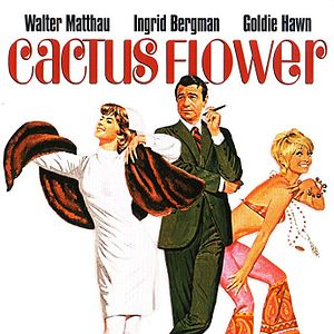 Bilder Die Kaktusblüte