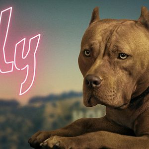 Bilder Once Upon A Time... In Hollywood