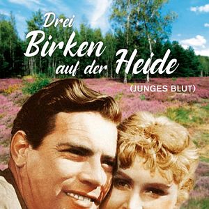 Bilder Drei Birken auf der Heide - Junges Blut