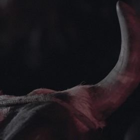 Bilder La Afinación del Diablo