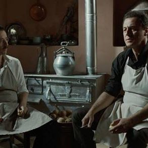 Bilder Yetkin Dikinciler