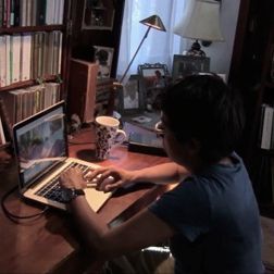 Bilder Observar las aves