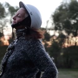 Bilder Observar las aves