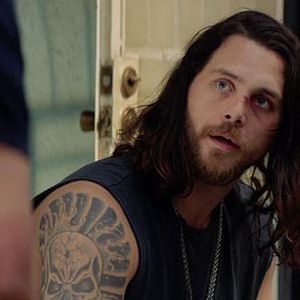 Bilder Animal Kingdom