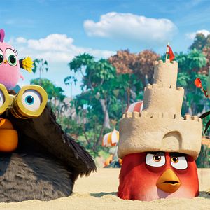 Bilder Angry Birds 2