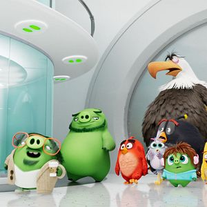 Bilder Angry Birds 2