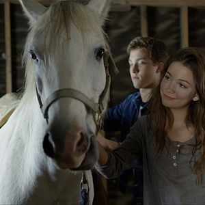 Bilder Pegasus - Das Pferd mit den magischen Flügeln