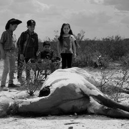 Bilder El paraíso de la serpiente