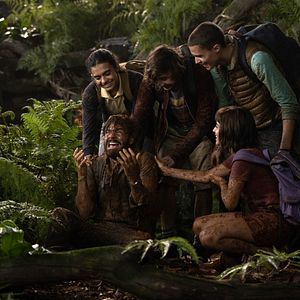 Bilder Nicholas Coombe