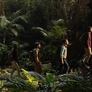 Bilder Nicholas Coombe