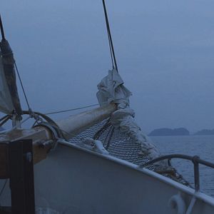 Bilder Der Esel hieß Geronimo