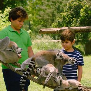 Bilder Konuşan Hayvanlar