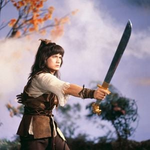 Bilder Die Eisenfaust