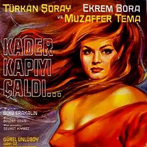 Bilder Kader Kapıyı Çaldı