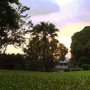 Bilder Running For Grace