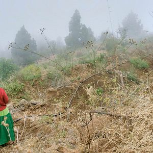 Bilder But Beautiful