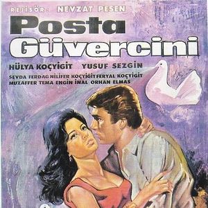 Bilder Posta Güvercini