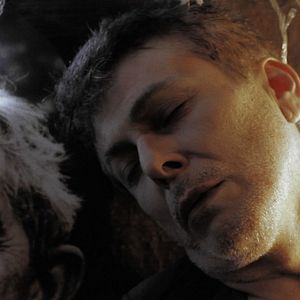 Bilder Notícias Do Fim Do Mundo