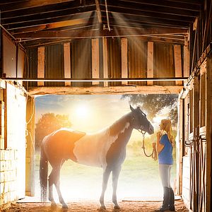 Bilder A Champion Heart - Freunde fürs Leben