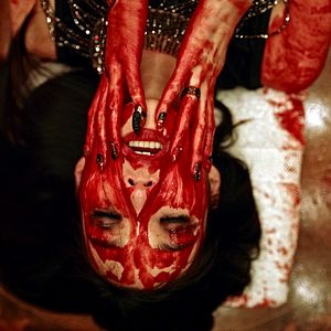 Bilder She's Just A Shadow