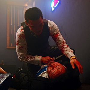 Bilder She's Just A Shadow