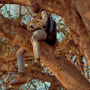 Bilder Semillas de alegría