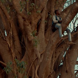 Bilder Semillas de alegría