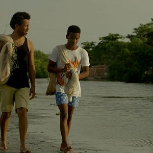 Bilder Semillas de alegría