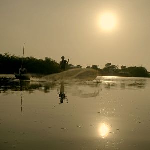 Bilder Semillas de alegría