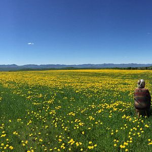 Bilder La Fille Du Cratère