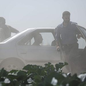 Bilder Metri Shesh Va Nim