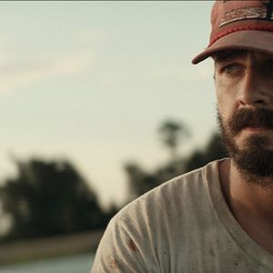 Bilder Shia LaBeouf
