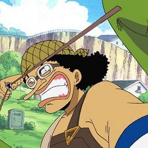 Bilder One Piece