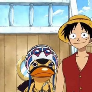 Bilder One Piece