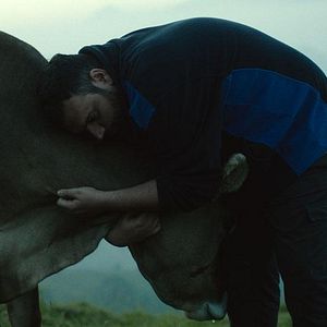 Bilder Lessons Of Love