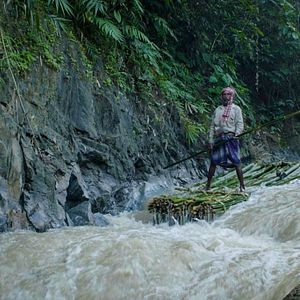 Bilder Bamboo Stories