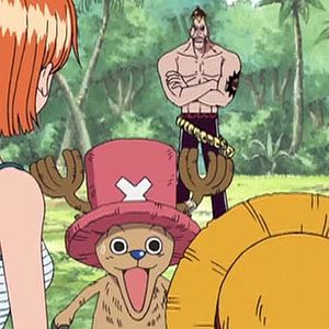 Bilder One Piece