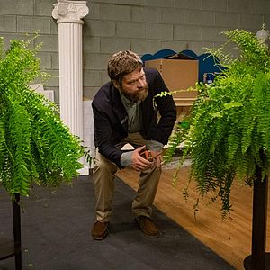 Bilder Zwischen zwei Farnen: Der Film