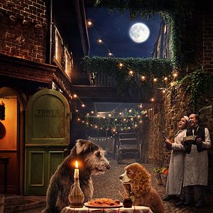 Bilder Susi und Strolch