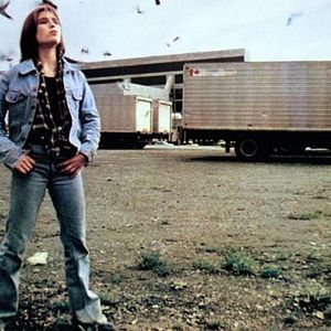 Bilder Out of the Blue