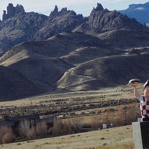 Bilder Becoming Animal