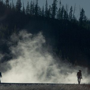 Bilder Becoming Animal