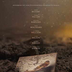 Bilder Der Distelfink