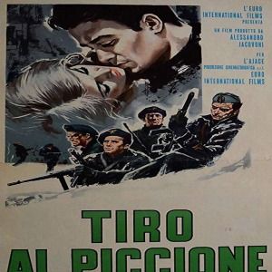 Bilder Schuss auf die Taube