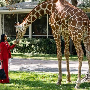 Bilder Briarpatch - Texas Kills!